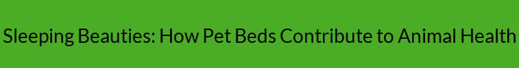 Sleeping Beauties: How Pet Beds Contribute to Animal Health